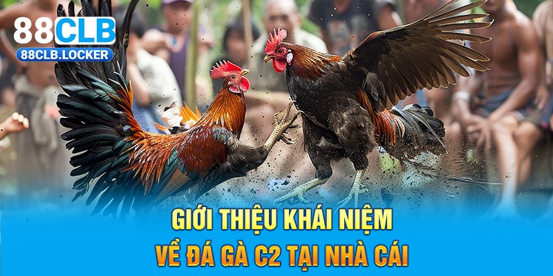 Giới thiệu khái niệm về đá gà C2 tại nhà cái