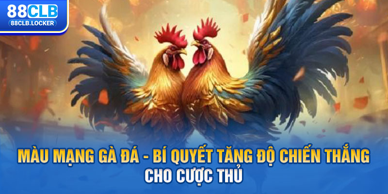 Màu Mạng Gà Đá - Bí Quyết Tăng Độ Chiến Thắng Cho Cược Thủ