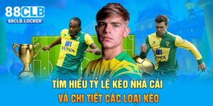 Tìm Hiểu Tỷ Lệ Kèo Nhà Cái Và Chi Tiết Các Loại Kèo