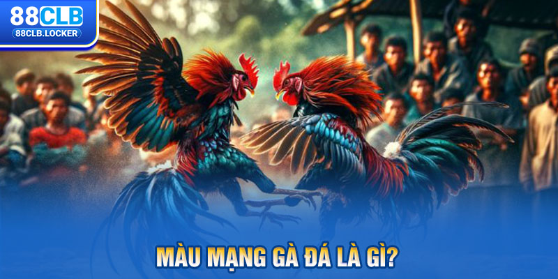 Màu mạng gà đá là gì?