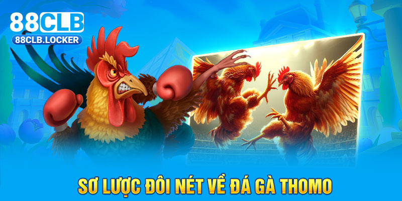 Sơ lược đôi nét về đá gà Thomo