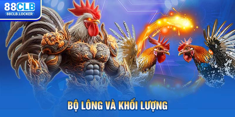 Bộ lông và khối lượng