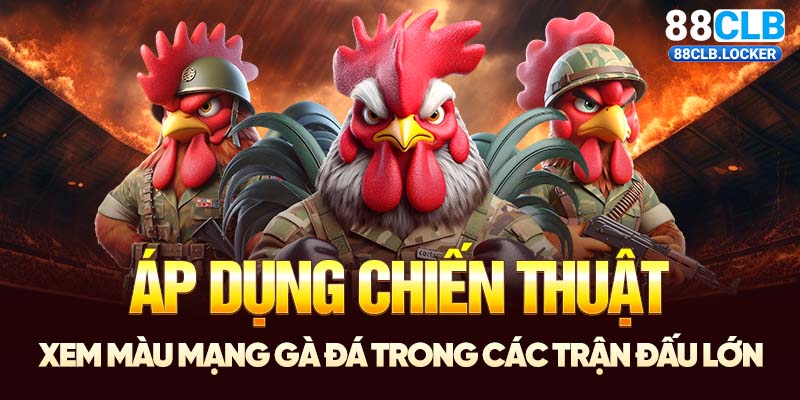 Áp dụng chiến thuật xem màu mạng gà đá trong các trận đấu lớn