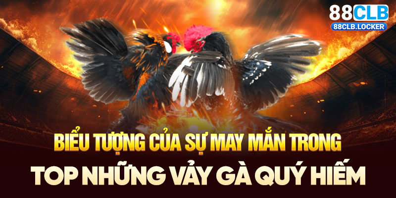 Biểu tượng của sự may mắn trong top những vảy gà quý hiếm