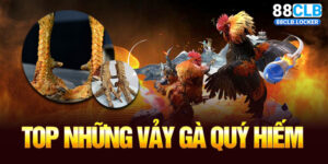 Khám Phá Top Những Vảy Gà Quý Hiếm Tại Nhà Cái 88CLB