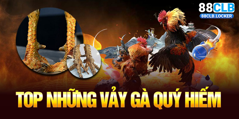 Khám Phá Top Những Vảy Gà Quý Hiếm Tại Nhà Cái 88CLB