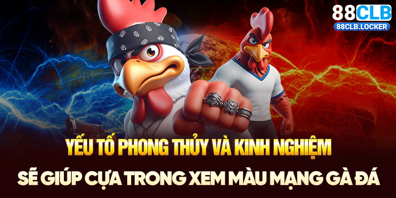 Yếu tố phong thủy và kinh nghiệm sẽ giúp cựa trong xem màu mạng gà đá