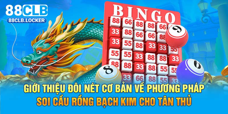 Giới thiệu đôi nét cơ bản về phương pháp soi cầu rồng bạch kim cho tân thủ